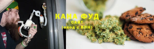 PSILOCYBIN Алзамай