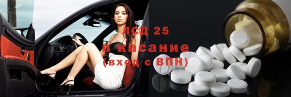 PSILOCYBIN Алзамай