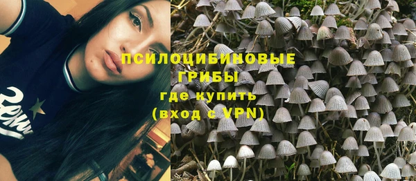 мяу мяу мука Абаза