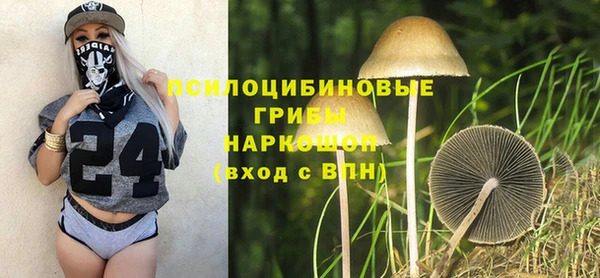 мяу мяу мука Абаза