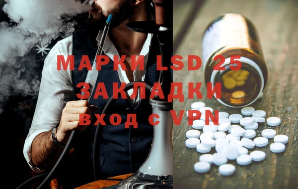мяу мяу мука Абаза