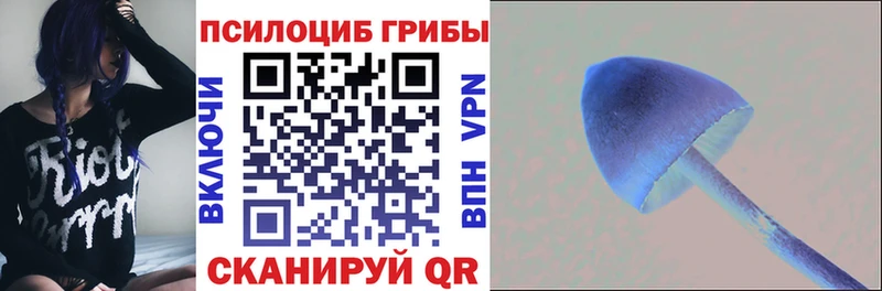 Галлюциногенные грибы мухоморы  Шацк 